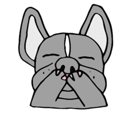 French bulldog, Amelie 40 various faces! sticker #3239249