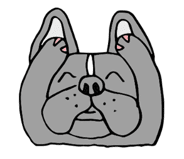 French bulldog, Amelie 40 various faces! sticker #3239250