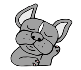 French bulldog, Amelie 40 various faces! sticker #3239251