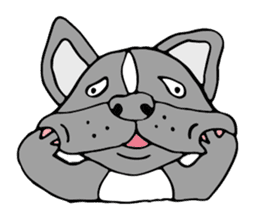 French bulldog, Amelie 40 various faces! sticker #3239257