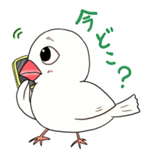 Java sparrow design sticker sticker #3240428