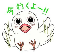 Java sparrow design sticker sticker #3240429