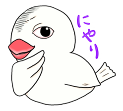 Java sparrow design sticker sticker #3240433