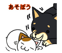 Cat and dog's meeting sticker #3243579