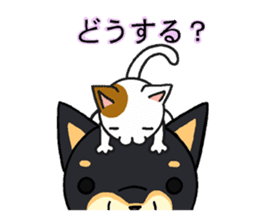 Cat and dog's meeting sticker #3243580