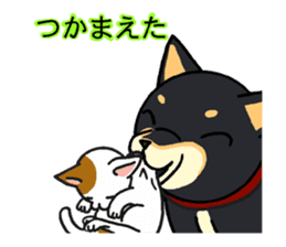 Cat and dog's meeting sticker #3243581