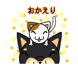 Cat and dog's meeting sticker #3243583