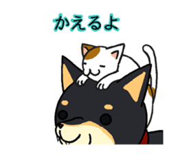 Cat and dog's meeting sticker #3243584