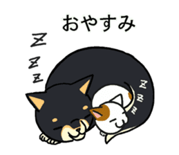 Cat and dog's meeting sticker #3243585