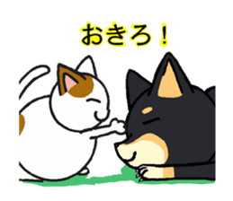 Cat and dog's meeting sticker #3243586