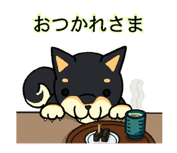 Cat and dog's meeting sticker #3243588