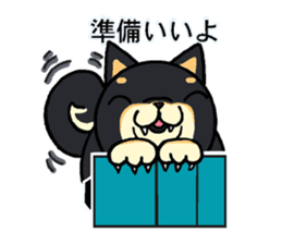 Cat and dog's meeting sticker #3243595
