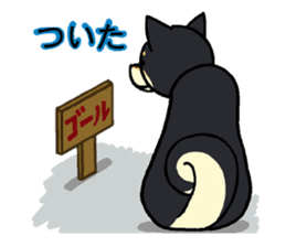Cat and dog's meeting sticker #3243596