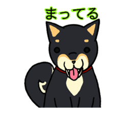 Cat and dog's meeting sticker #3243598