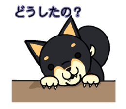 Cat and dog's meeting sticker #3243600