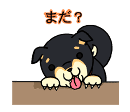 Cat and dog's meeting sticker #3243601
