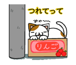 Cat and dog's meeting sticker #3243603