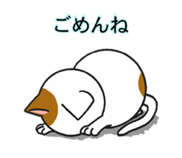 Cat and dog's meeting sticker #3243604