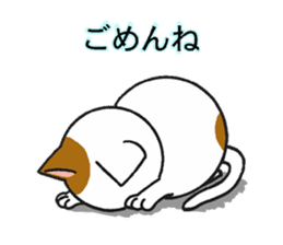 Cat and dog's meeting sticker #3243604