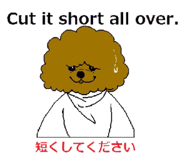 play hairdresser of the maltese dog sticker #3244881