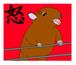 It is a degu sticker #3244900
