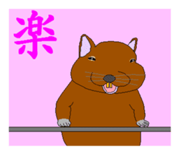 It is a degu sticker #3244902