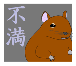 It is a degu sticker #3244903
