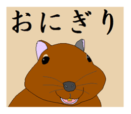 It is a degu sticker #3244904