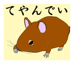 It is a degu sticker #3244905