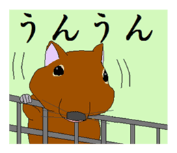 It is a degu sticker #3244906