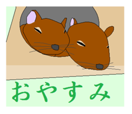 It is a degu sticker #3244907