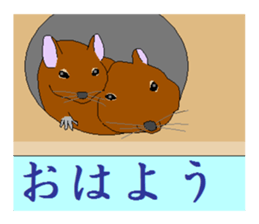 It is a degu sticker #3244908