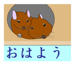 It is a degu sticker #3244908