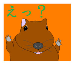 It is a degu sticker #3244909