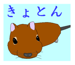 It is a degu sticker #3244910