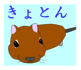 It is a degu sticker #3244910