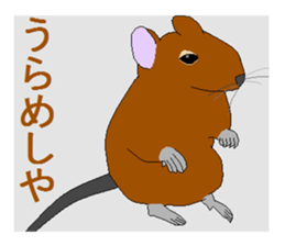 It is a degu sticker #3244913