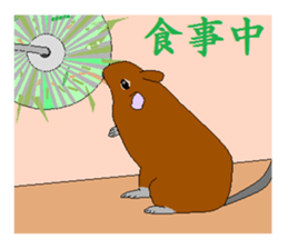 It is a degu sticker #3244915