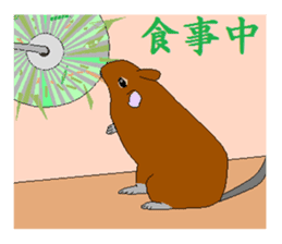 It is a degu sticker #3244915