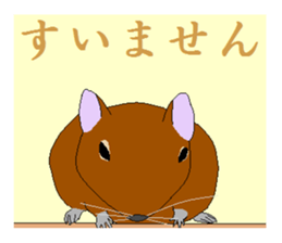 It is a degu sticker #3244919