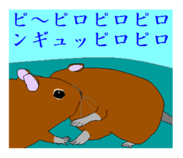 It is a degu sticker #3244924