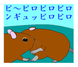 It is a degu sticker #3244924