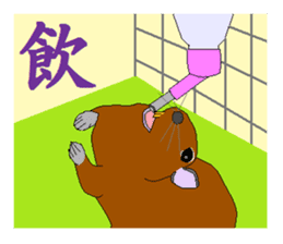 It is a degu sticker #3244925