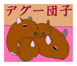 It is a degu sticker #3244926