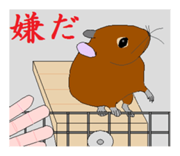 It is a degu sticker #3244933