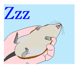 It is a degu sticker #3244934