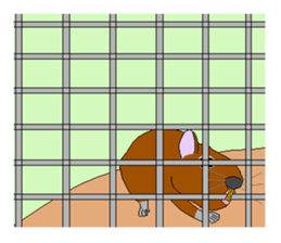 It is a degu sticker #3244935