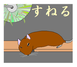 It is a degu sticker #3244937