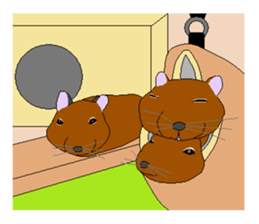 It is a degu sticker #3244938