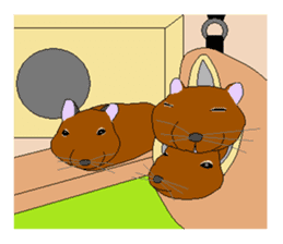 It is a degu sticker #3244938